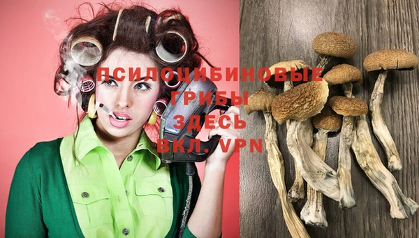 не бодяженный Абинск