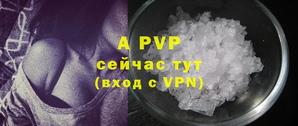 тгк Абаза