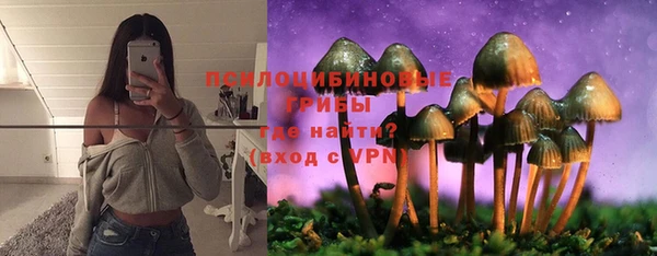 тгк Абаза