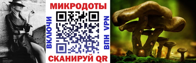 кракен сайт  Анадырь  Галлюциногенные грибы MAGIC MUSHROOMS 